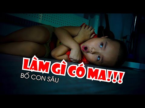 Video: Chiếc áo khoác chó trị giá 1,5 triệu đô la này được làm từ vàng thật và kim cương