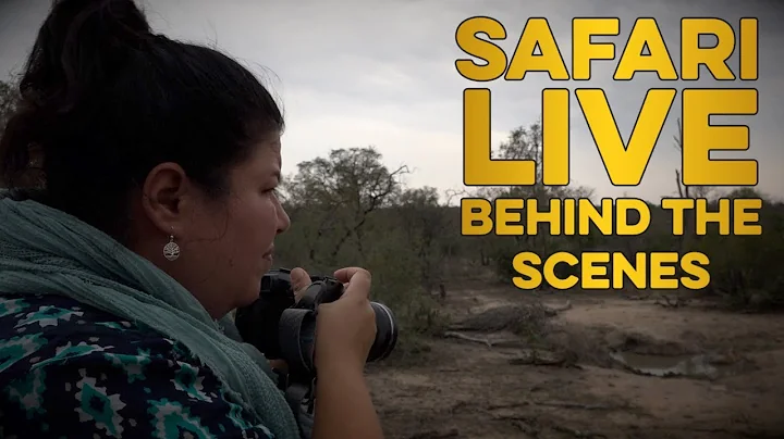 sL Experience: diveLIVE Supporter Andrea Rees Come...