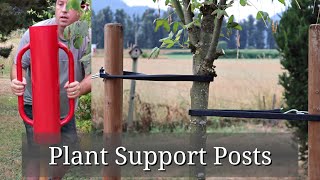 Tree Support Posts