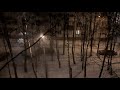 #снег // 20.03.2021г., а в  Мытищи снова пришла зима.
