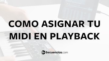 Como Usar MIDI en Playback