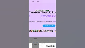 I Used AI to Grow My Twitter While I Slept (XBeast.io Results)