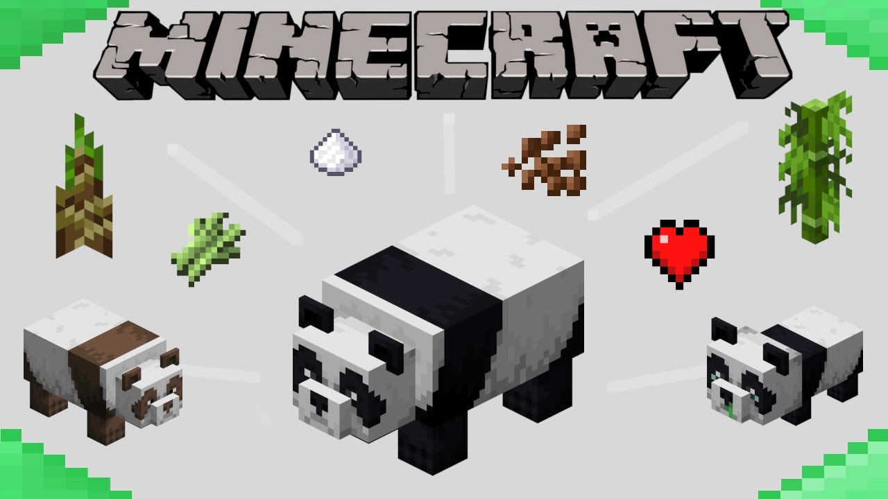 How to breed Pandas in Minecraft in 2023  Educational software, Biomes,  Good environment