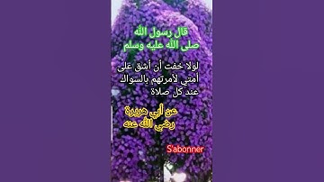أحاديث نبوية شريفة #أذكار #آيات #أدعية #سنة الله ورسوله صلى الله عليه وسلم