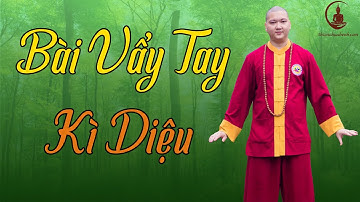 Bài Vẩy Tay Kì Diệu: Trị Bệnh Gan, Thận, Mất Ngủ, Dạ Dày (Zalo Thầy 0982314688)