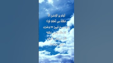 تلاوه رائعه تصل القلب |#القرآن_الكريم #تلاوات #صلوا_على_النبي #السعودية # #اليمن