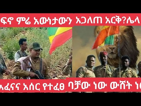 ቪዲዮ: ባቻው አስቂኝ ነው ወይስ አሳዛኝ?