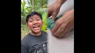 🤣👌👌👌2025 pov Kompilasi Klip Gila yang Wajib Ditonton #humor #fyp #fyp #untukmu 😍😜 6