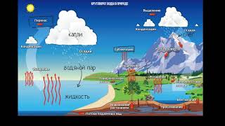 Круговорот воды в природе (видео 1)| Экология | Биогеохимический цикл