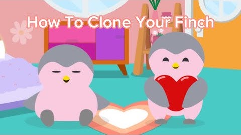 How To Clone Your Finch - Tutorial