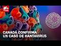 Canadá Confirma Caso Positivo de Hantavirus en 2026: Esto es lo que se Sabe