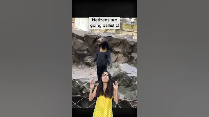 Angela the "Sun bear"