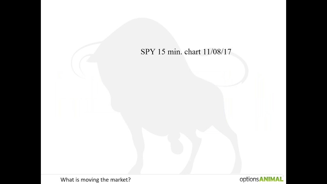 OptionsANIMAL Weekly Market Report 11 10 2017 YouTube