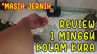 Review kolam kura kura dengan chamber filter kolam sederhana