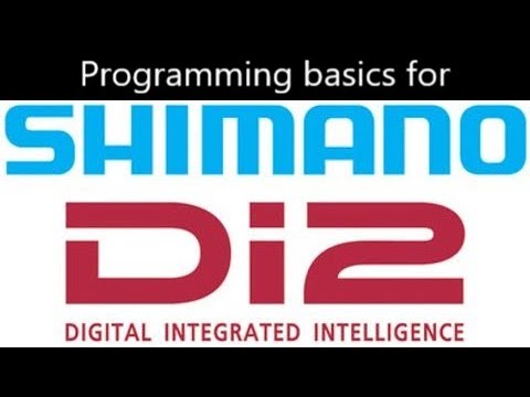 Basics of Di2 programming