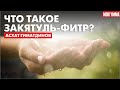 Что такое закятуль-фитр?