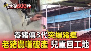 養豬傳3代突爆豬瘟 老豬農嘆破產 兒重回工地【頭條600秒】