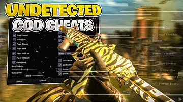 USING THE *NEW* BEST WARZONE CHEAT 🔥 (IT