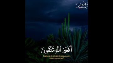 قرأن كريم بصوت احمد النفيس تلاوة هادئة تريح القلب ♡ حالات واتس اب / ستوريات قرآن || Quran status
