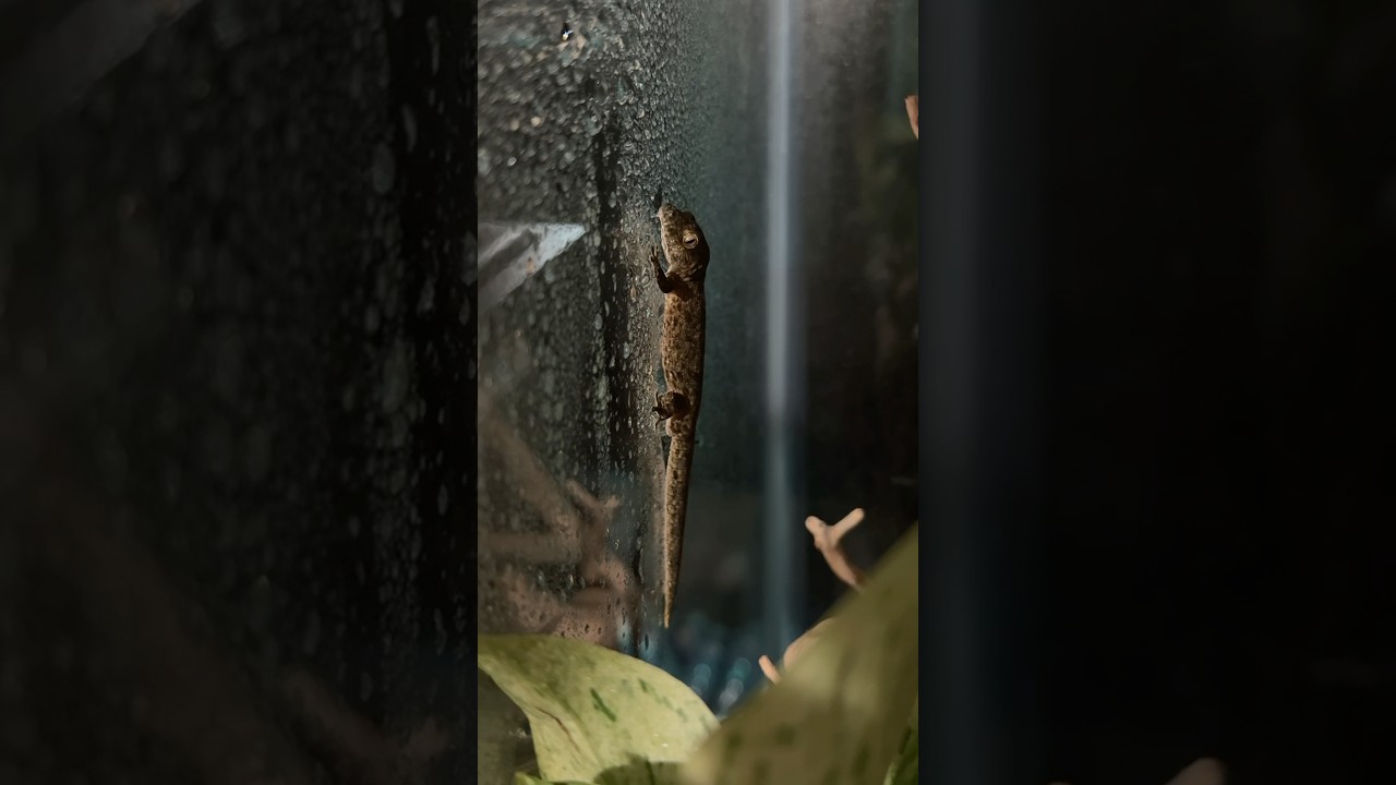 Peaceful start to the week 💙 