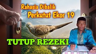 Katuranggan Perkutut Tutup Rezeki || Perkutut Ekor 19