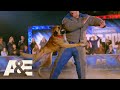 K9 Kai Beats This Season's Record for FASTEST Time | America's Top Dog (Season 1) | A&E