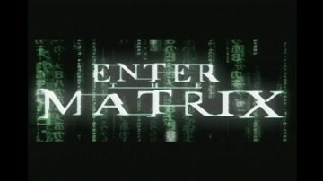 E3 2003 Interview - David Perry - Enter the Matrix