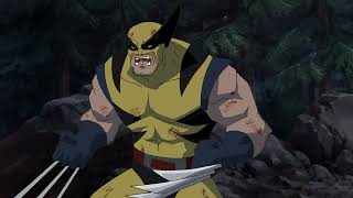 Wolverine vs. The Incredible Hulk! 🩸🟢 | Ultimate Animated Showdown