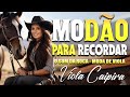 S modo para recordar  sertanejo raiz antigo  viola caipira s as melhores 