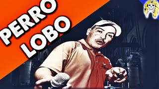 Video thumbnail of "Perro lobo Los locos mas locos Remasterizado | CUMBIA VILLERA 2020"