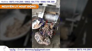 Báo Giá Máy Lọc Tách Xương Cá Tự Động Năng Suất 240kg/h| Điện Máy 3G