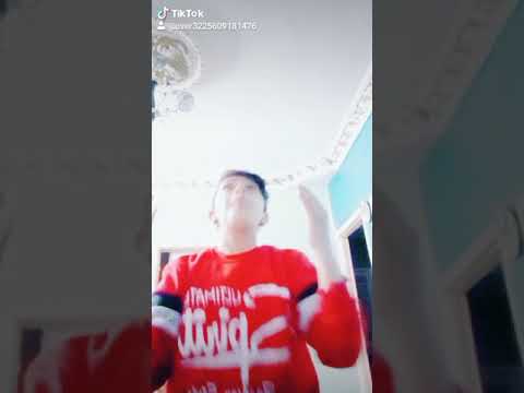 القاب مات