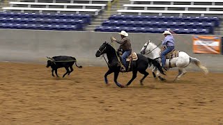 Team Roping #12.5 Rotation 1 - 2019 ADVO Horns & Heels