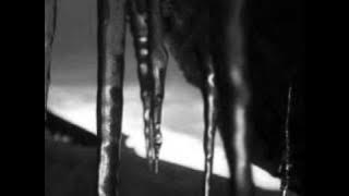 The Cranberries - The Icicle Melts (Black Sessions, 1993)