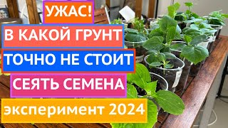 ОФИЦИАЛЬНО!  В КАКИЕ ГРУНТЫ ЛУЧШЕ ВСЕГО СЕЯТЬ СЕМЕНА, А ОТ КАКИХ СТОИТ ОТКАЗАТЬСЯ!