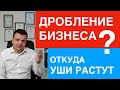 Дробление бизнеса - откуда уши растут?