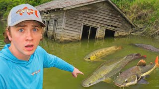 Am descoperit o fermă de pește abandonată!