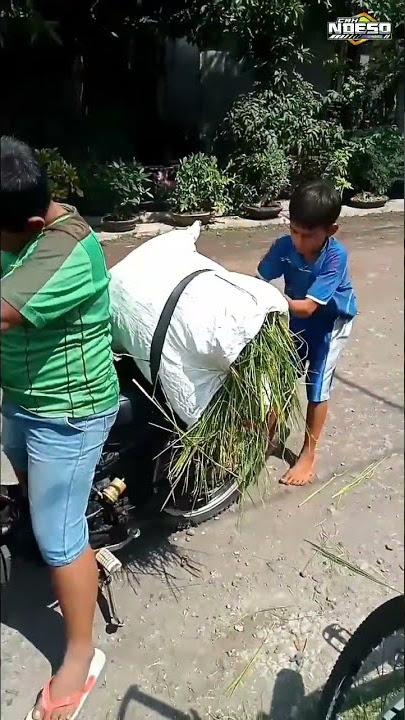 Story WA Lucu terbaru bikin ngakak