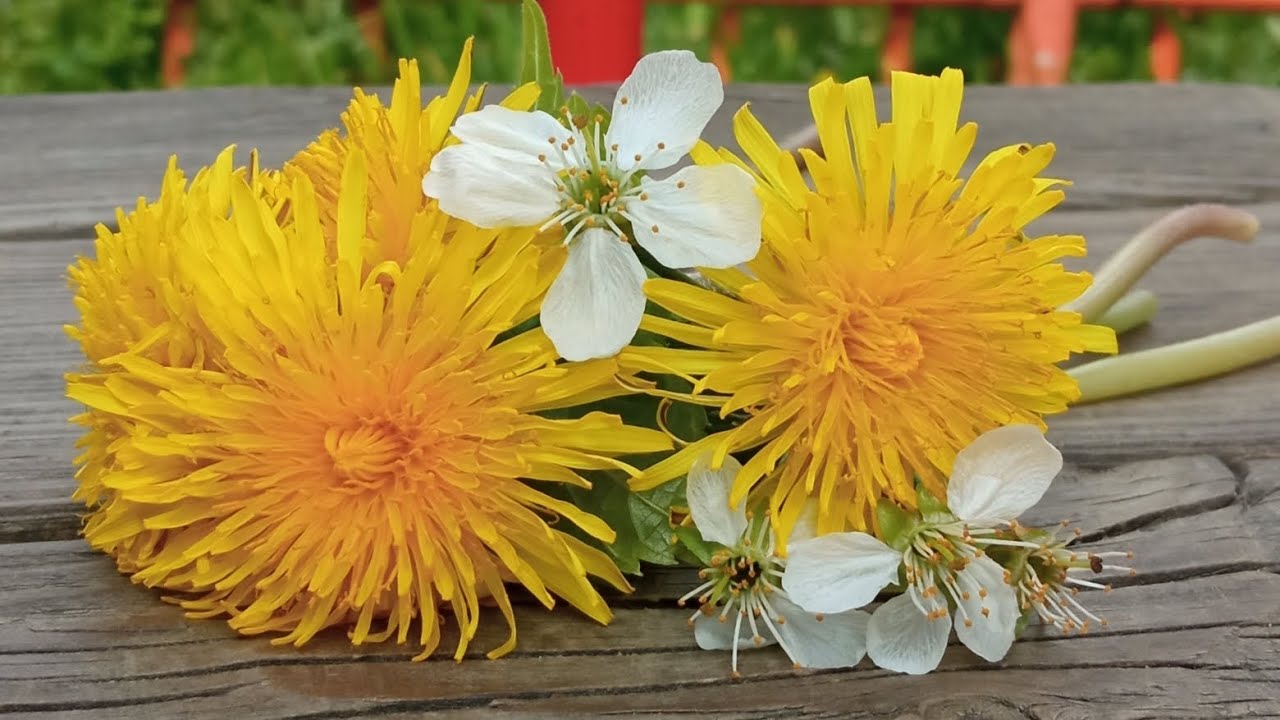 я и туса (чясьть первая) - YouTube