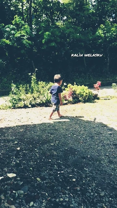 Anane mung tresno , kalih welasku #shorts #fyp #viral