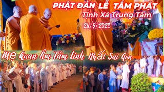 Phật Đản Lễ Tắm Phật Trịnh Trọng Đông Nghẹt TịnhXáTrungTâm Mẹ Quan Âm Kỳ Lạ Trời Đêm Sáng Như  Ngày