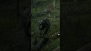 RDR 2 Охота на медведя. Grizzly. Bear #reddeadredemption2 #rdr2 #rdr2online #shorts #short #охота