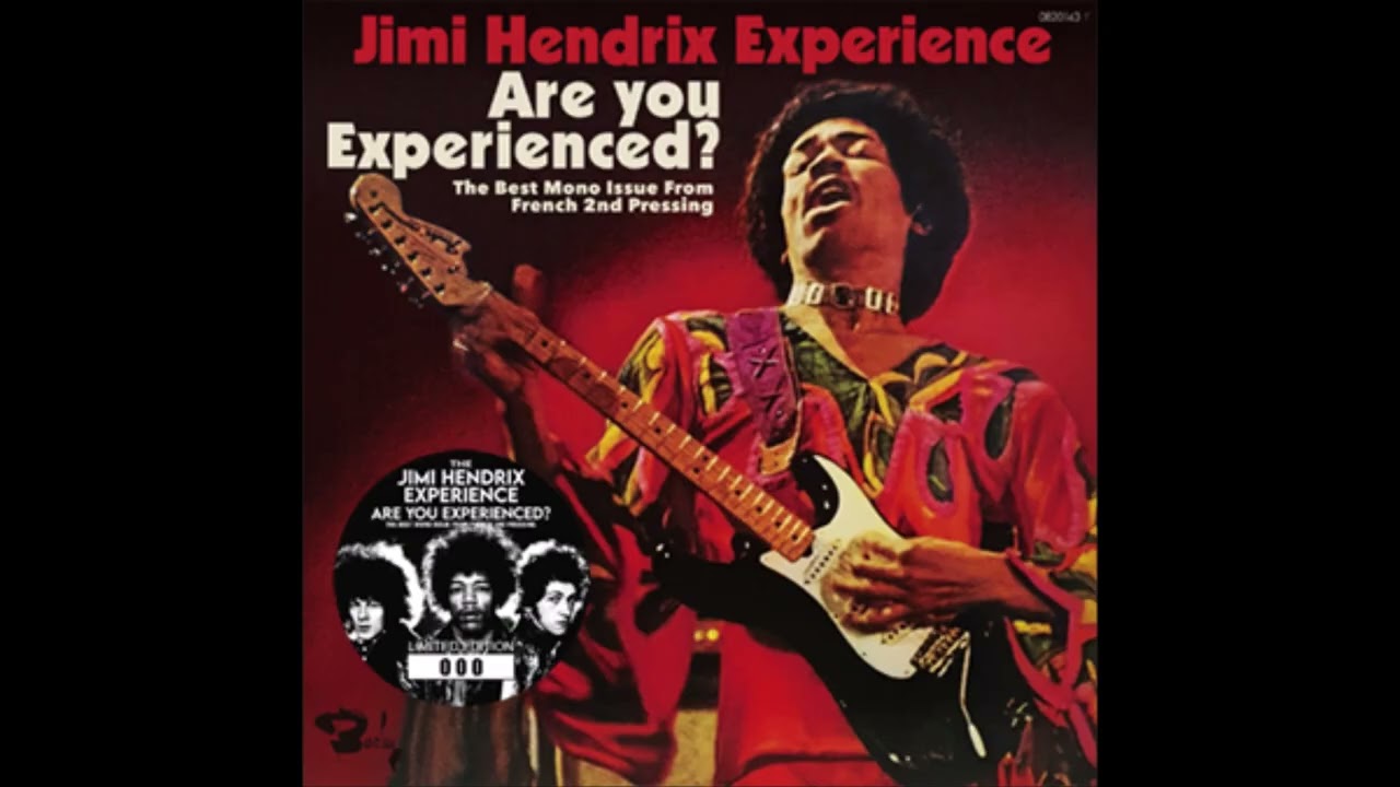 Are You Experienced? : The Best MONO / Fremch | cinnamon の音楽 
