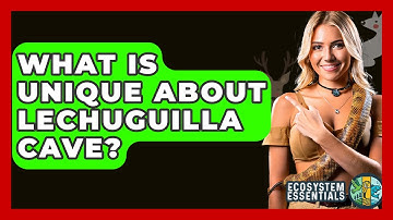 What Is Unique About Lechuguilla Cave? - Ecosystem Essentials