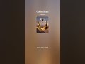 "GoldenShade" | Afro House x Phonk Type Beat | Dark Tribal |