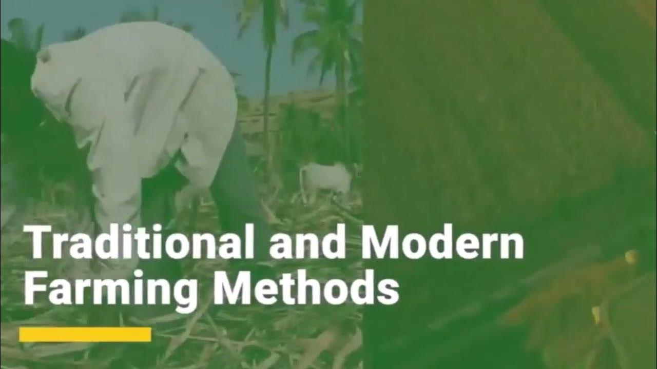 Traditional And Modern Farming Methods l Chapter 1 l Economics l Class