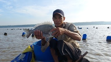 hành trình đi kéo câu giăn,19(lê nghĩa cần giờ)