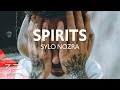 Sylo nozra  spirits lyrics