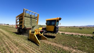 We're Making Hay!