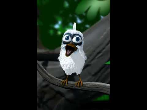 ozzy osbourne birds